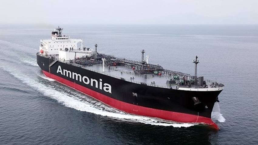 NYK ammonia carrier.jpg