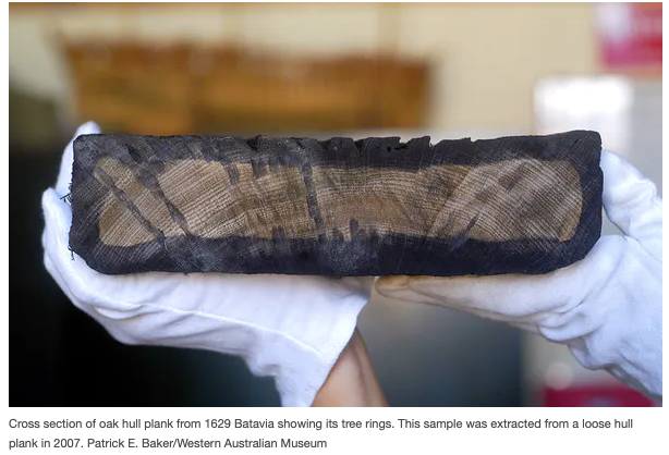 Screen Shot 2021 11 25 at 10.03.21 am