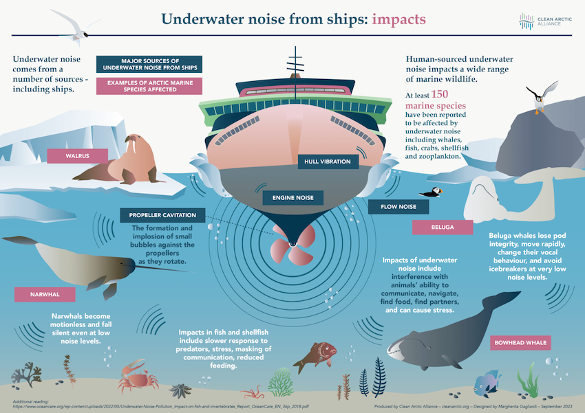 Underwater-noise-infographic_sept2023_clean_arctic_alliance_01-1536x1086-1.png